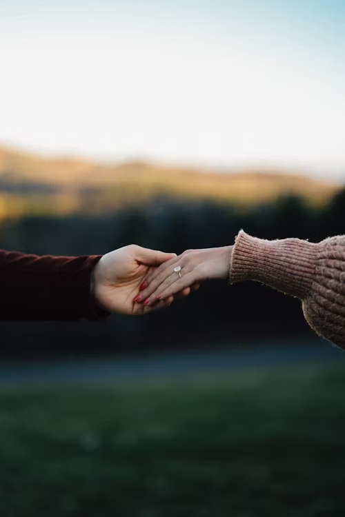 금주 개봉! 놓치면 후회할 영화 4편